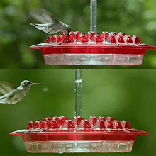 Load image into Gallery viewer, Vianys Sweety Hummingbird Feeder